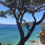 Bonito Beach Palamutbükü (13)
